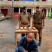 Attempt to use tourist Sumo to smuggle heroin foiled