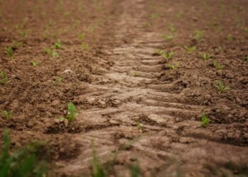 Traditional festival Shad Lakympong to be held at Raid Nongtung