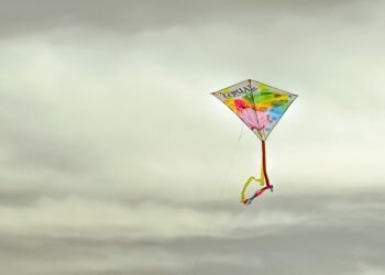 Use of nylon threads, Chinese manja banned