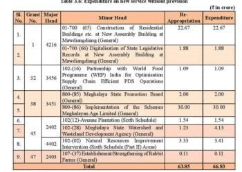 Govt spends Rs 66.83 cr without informing Assembly
