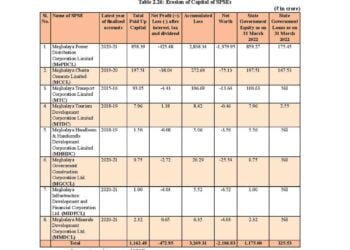 8 loss-making public companies bleed Meghalaya’s wealth