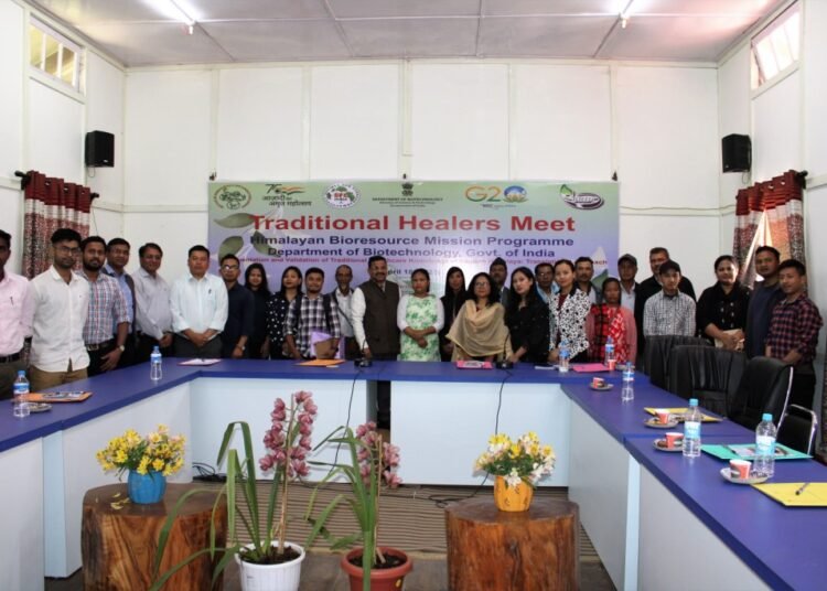 Traditional healers meet in IBSD