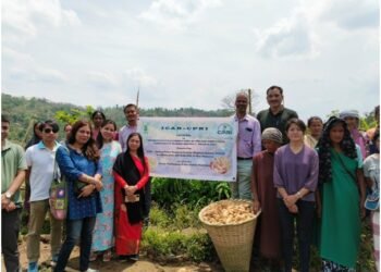 Farmers given exposure to improved potato variety