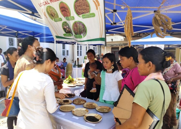 Aman Asong Millet festival held in Tura