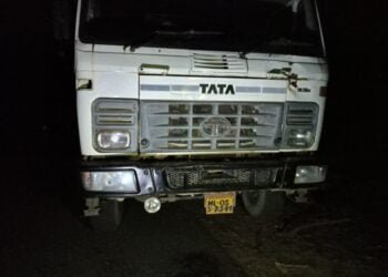 FKJGP, GHADC foil timber smuggling operation