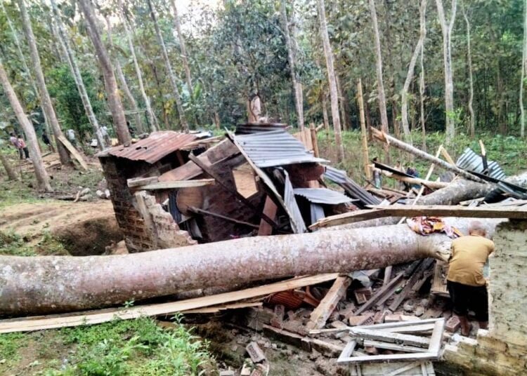 Teen killed, 3 family members injured after tree falls on house