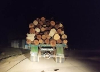 Crack down on coke, coal, timber felling to fight heatwaves: Congress