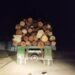 Crack down on coke, coal, timber felling to fight heatwaves: Congress