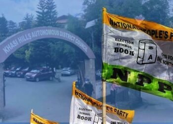 NPP planning to snatch power in KHADC?