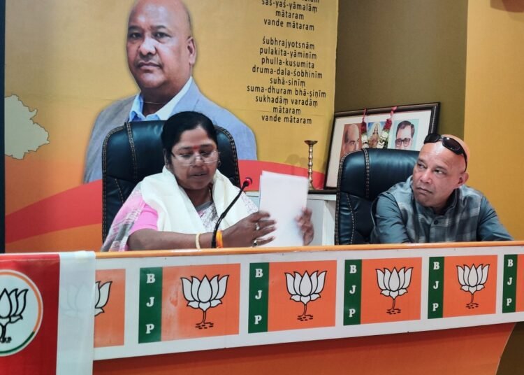 BJP MoS hypes up NDA ahead of 9 anniversary of Govt