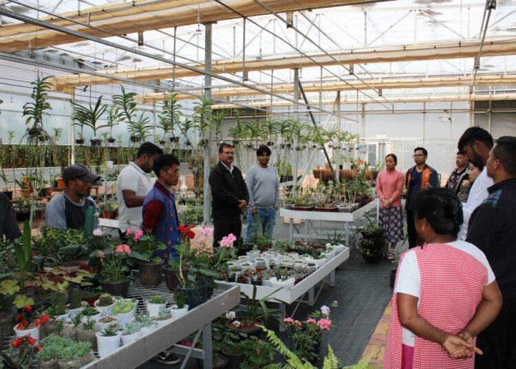 IBSD celebrates biological diversity with focus on medicinal plants