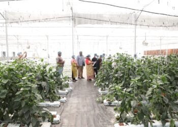 East Jaiñtia farmers exposed to hydroponics in Siliguri