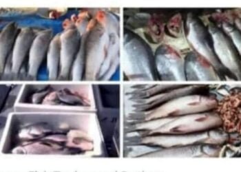 Alert raised after Garo villagers fall ill with food poisoning