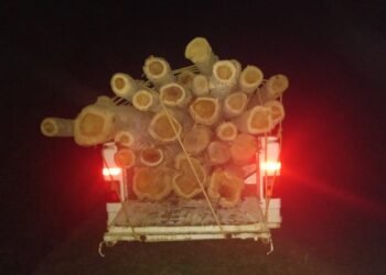 Pressure groups file complaint against Betasing forest officials