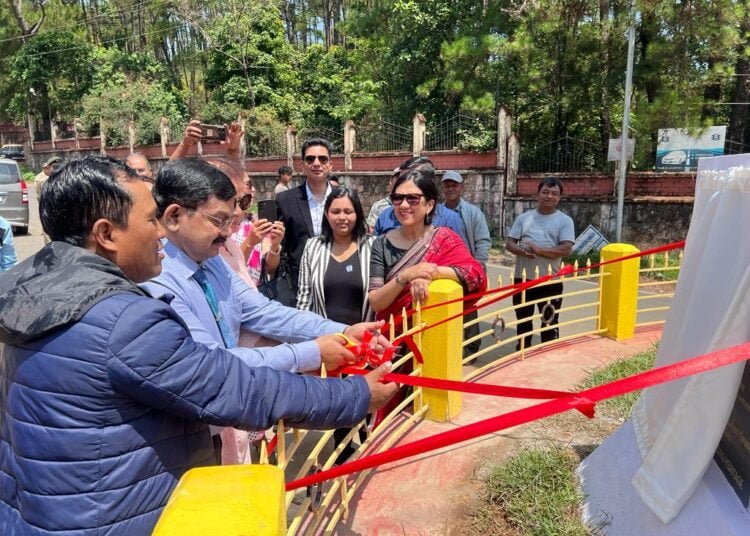 Solar lights installed in Mawlai Mawkynroh