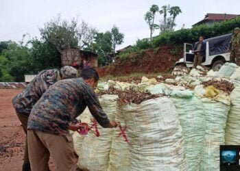 EWKH forest officials bust illegal charcoal activities