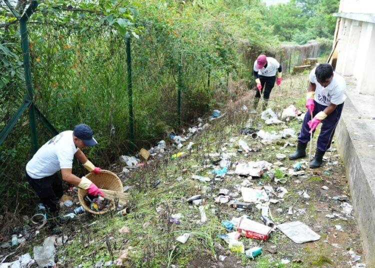 World Environment Day celebrated across Meghalaya