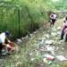 World Environment Day celebrated across Meghalaya