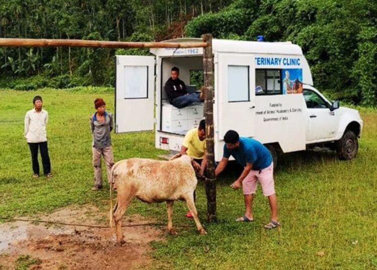 State vaccinates 20K cattle against lumpy skin disease