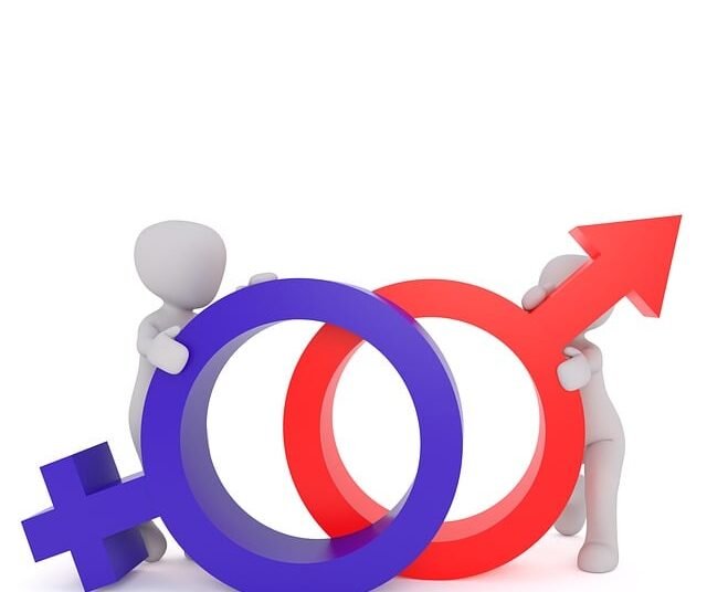 World not on track to achieve gender equality by 2030: UN report