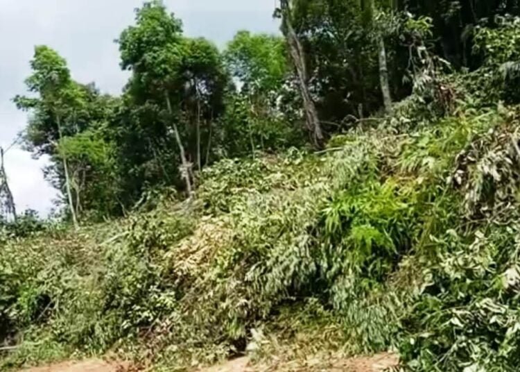Meghalaya-Assam border: Tension in Khanduli over destruction of forest