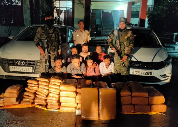 Seven arrested with 250 kg of marijuana in EJH