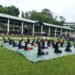 International Yoga Day celebrated in State