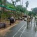 36 cattle rescued by BSF from international border