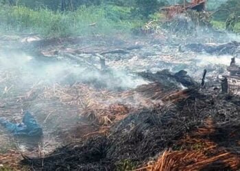 7 injured in lightning strike in Umsohlait