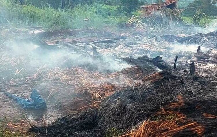 7 injured in lightning strike in Umsohlait