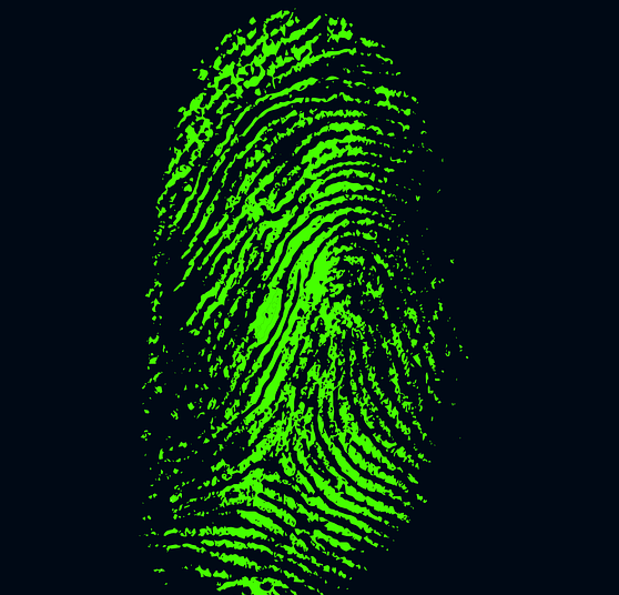 Proposal for directorate of forensic sciences cleared