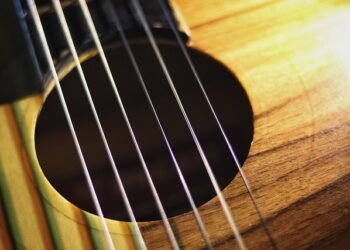 Delhi-based foundation to empower Meghalaya, Assam folk musicians