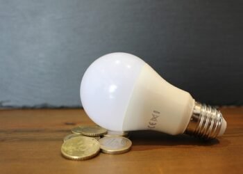 ‘Household consumers paying more than industries’