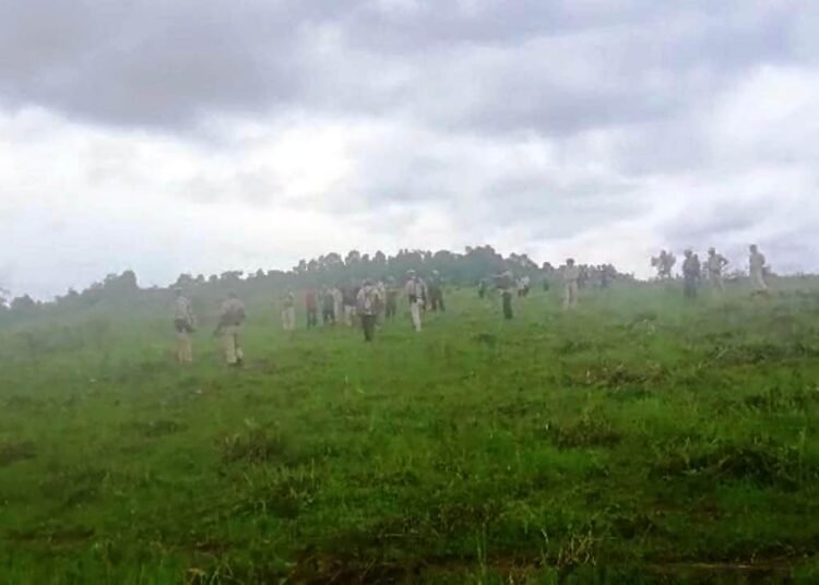 Border dispute: Tree saplings destroyed in Lapangap