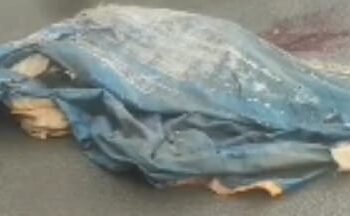 Manipur: Woman shot dead in Imphal West