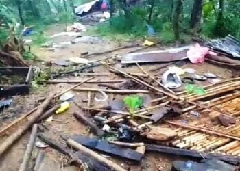 Wild elephants destroy 14 homes in Nongnah