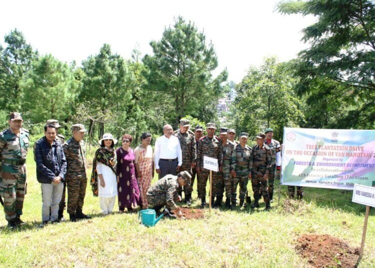 Territorial Army celebrates festival of trees in Kenchs Trace