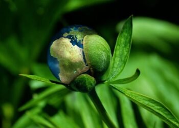 Meghalaya to build NE centre for climate change