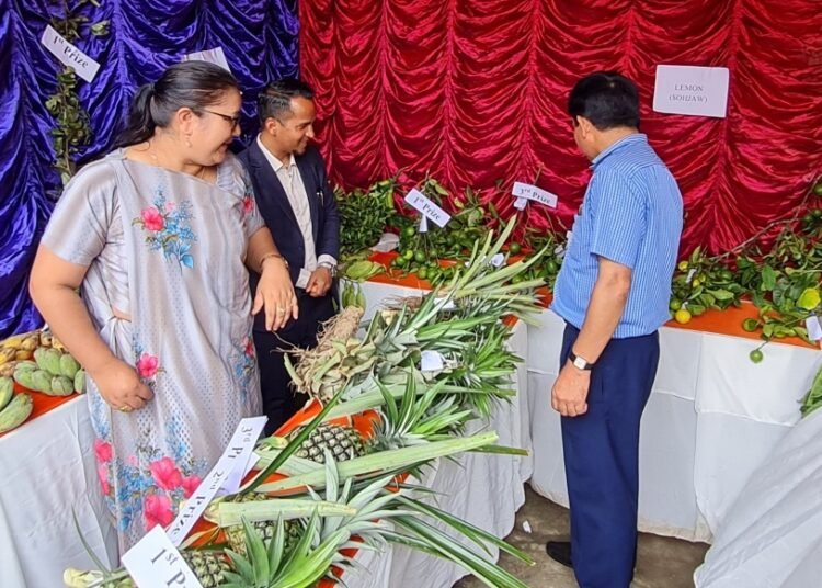 Exhibition, workshop held on horticulture, honey bee for farmers in Khliehriat