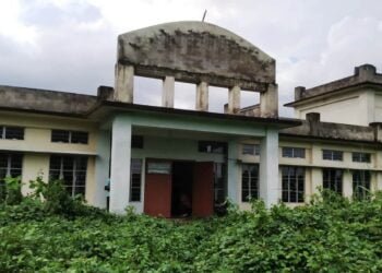 Jungle begins devouring abandoned school