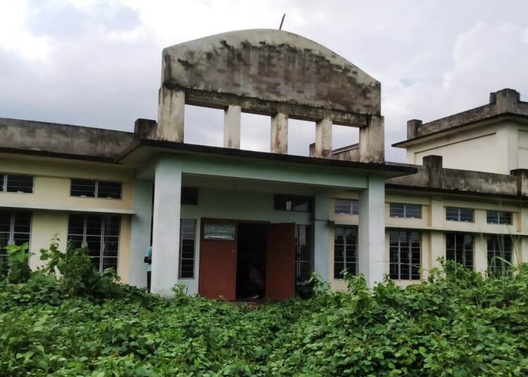 Jungle begins devouring abandoned school