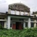 Jungle begins devouring abandoned school