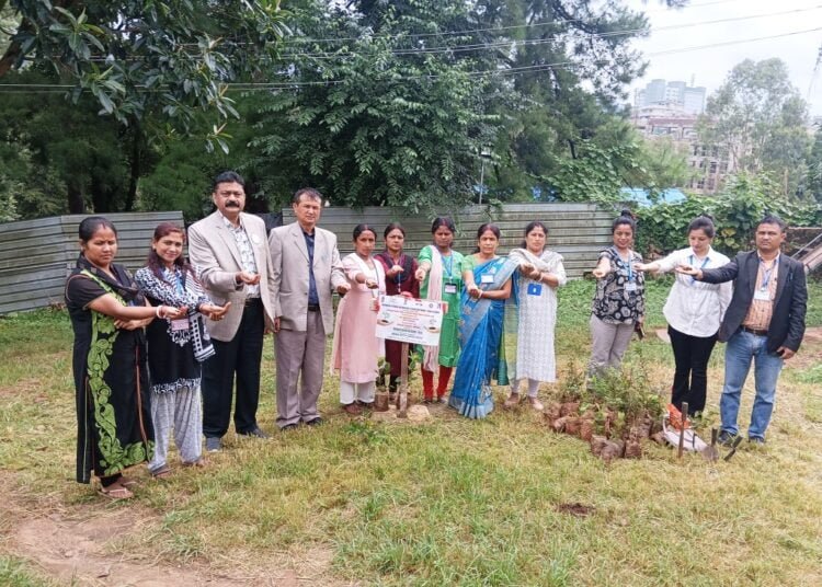 Tree plantation drive held
