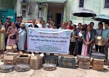 Farmers trained on backyard poultry farming