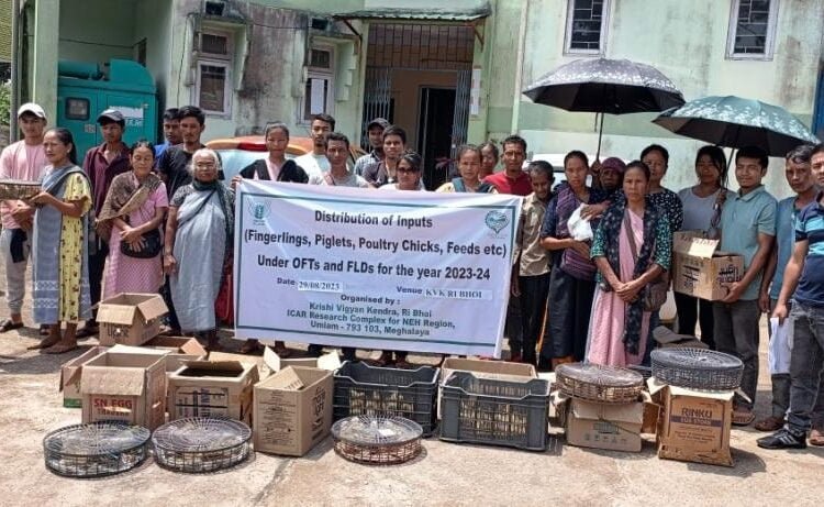 Farmers trained on backyard poultry farming