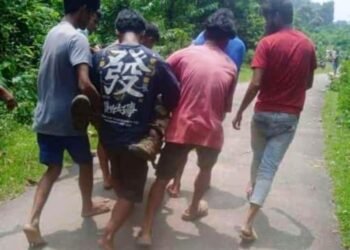 BSF jawan killed in elephant attack in SGH