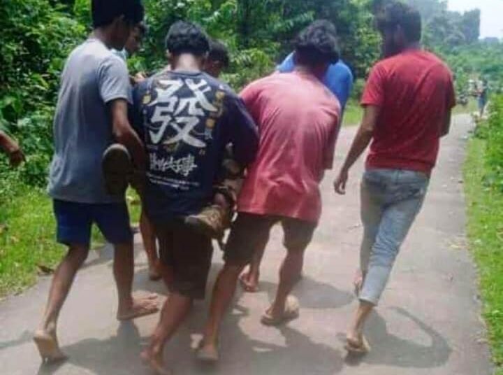 BSF jawan killed in elephant attack in SGH