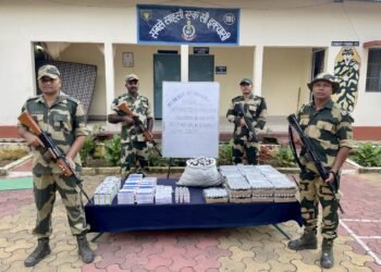BSF seizes Rs 3.74 lakh in medicines on international border