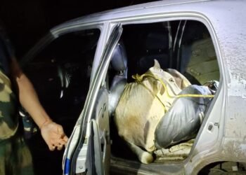 BSF rescues 2 cattle crammed into back of Altos