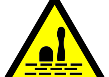 Woman drowns during picnic